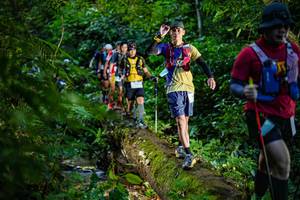 BIB: 
                            <button type="button" onclick="openModal(18922270)" class="btn btn-primary btn-sm float-right btn-popup" data-toggle="modal" data-target=".modal-high-quality">
                        <i class="fas fa-shopping-cart"></i> Add to Cart
                    </button>
                                            <button type="button" onclick="isThisMe(18922270, true)" class="btn btn-success btn-sm float-right btn-popup btn-isme hidden" data-toggle="tooltip" data-placement="bottom" title="นี่คือรูปของคุณใช่ไหม คลิกที่นี่เพื่อเอาเข้าอัลบั้ม">
                        <i class="fas fa-plus"></i> Add to album
                    </button>
                    <button type="button" onclick="isThisMe(18922270, false)" class="btn btn-warning btn-sm float-right btn-popup btn-isnotme hidden">
                        <i class="fas fa-ban"></i> Remove from album
                    </button>